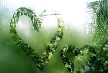 爱游戏官网-保加利亚主场力擒法国，取得难得胜利