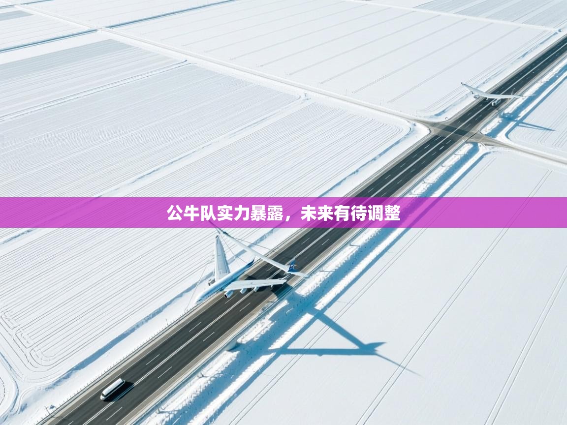 爱体育游戏网站-公牛队实力暴露，未来有待调整