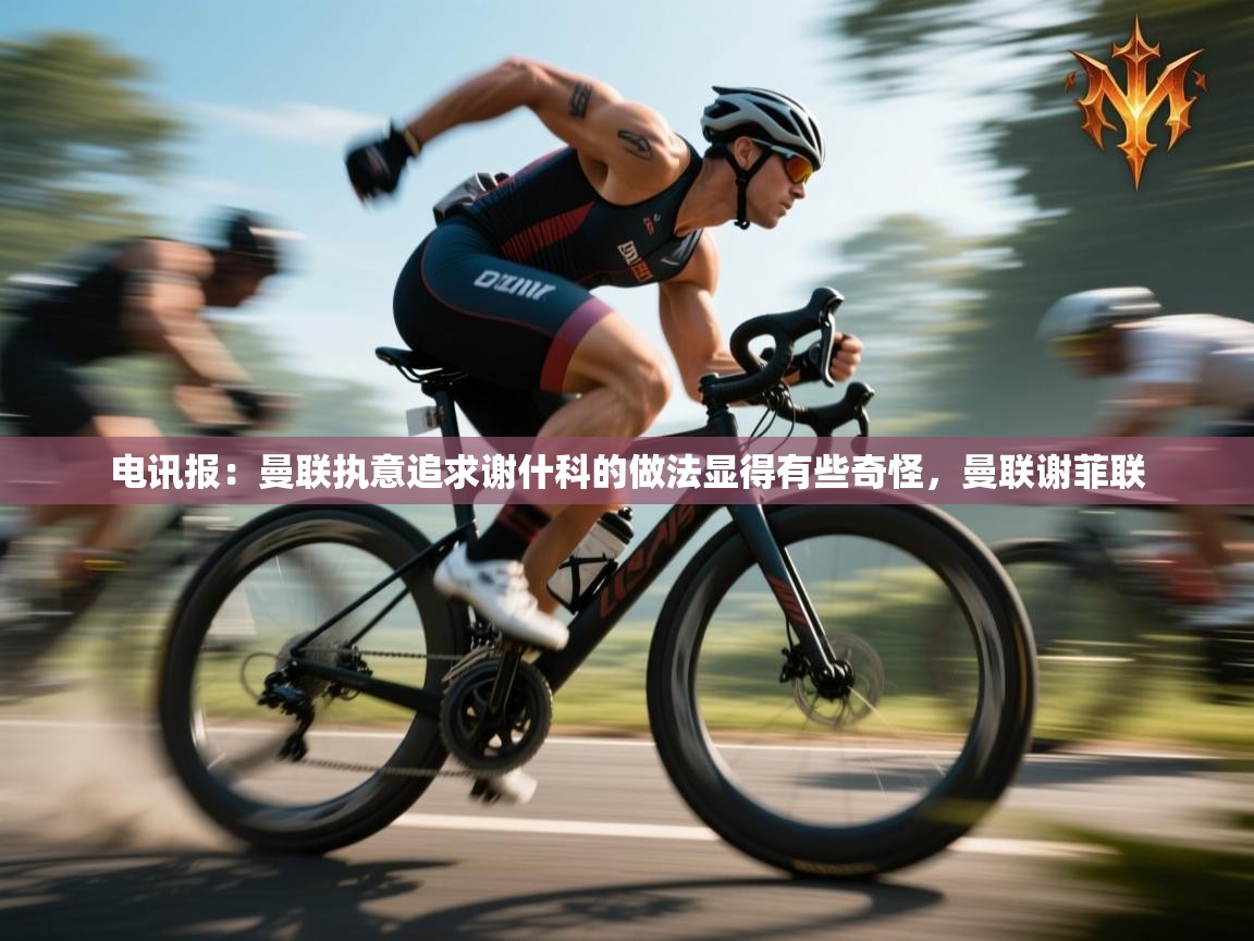 爱游戏体育下载-电讯报：曼联执意追求谢什科的做法显得有些奇怪，曼联谢菲联  第2张