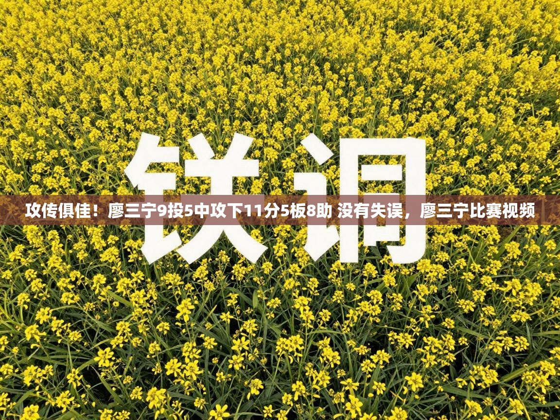 爱游戏-攻传俱佳！廖三宁9投5中攻下11分5板8助 没有失误，廖三宁比赛视频  第2张