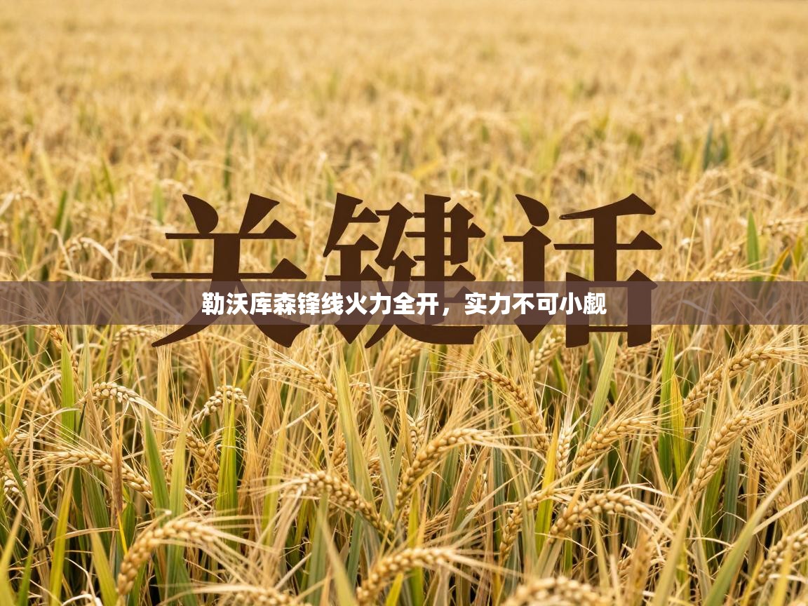 爱游戏娱乐平台信誉好16-勒沃库森锋线火力全开，实力不可小觑  第3张
