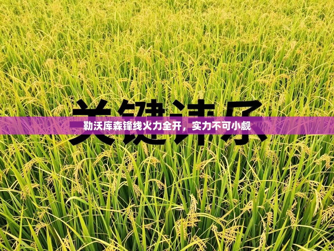 爱游戏娱乐平台信誉好16-勒沃库森锋线火力全开，实力不可小觑  第4张