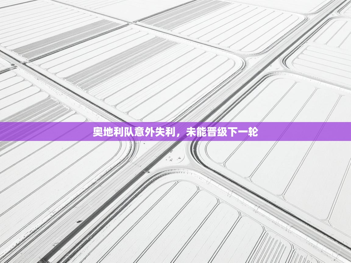 爱游戏体育官网-奥地利队意外失利，未能晋级下一轮  第1张