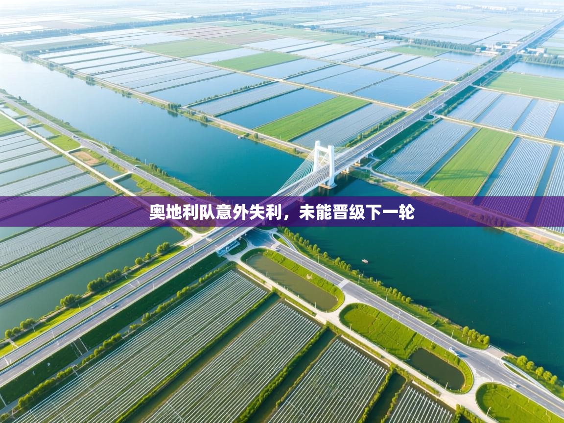 爱游戏体育官网-奥地利队意外失利，未能晋级下一轮  第4张