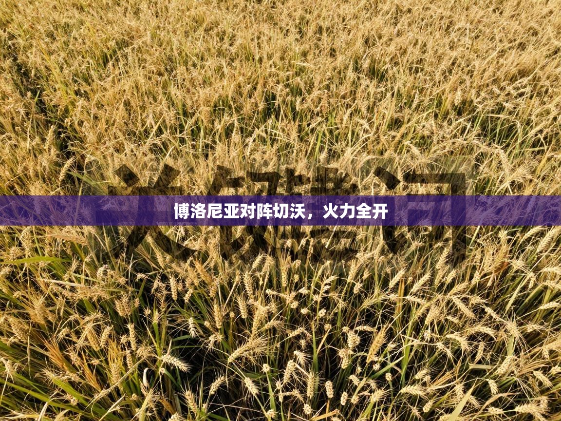 爱游戏体育-博洛尼亚对阵切沃，火力全开  第1张