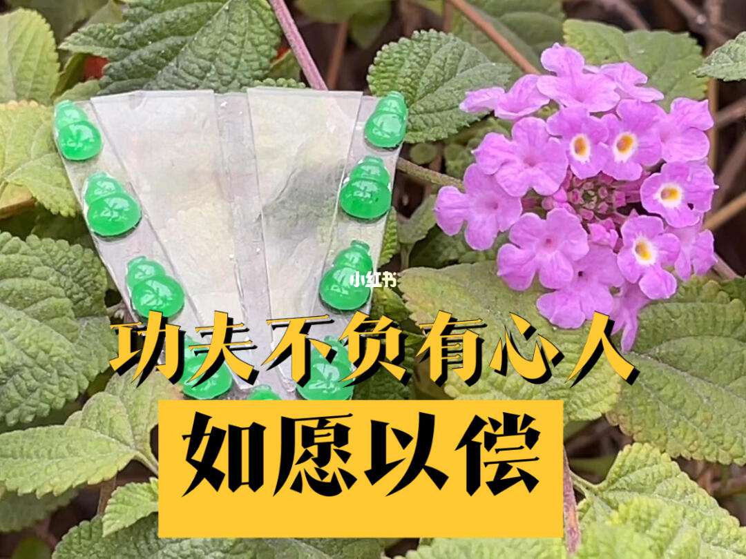 爱游戏登录入口-柏林联合队员合作默契，功夫不负有心人的简单介绍